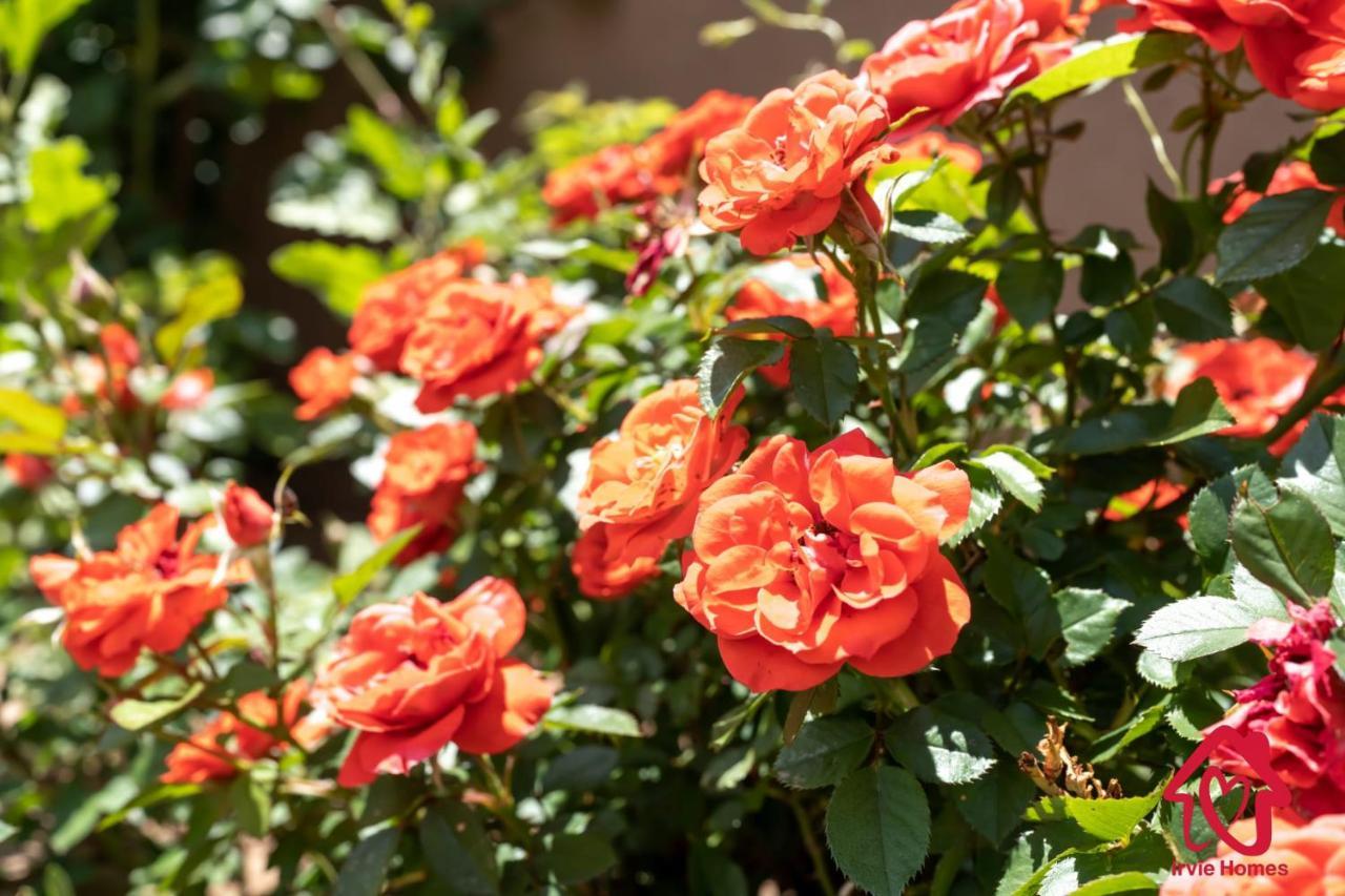 Rancho De La Luna Casita Santa Fe Ngoại thất bức ảnh